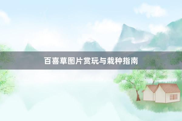 百喜草图片赏玩与栽种指南